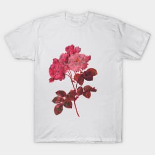 Flower Roses T-Shirt